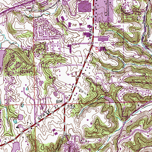 Topographic Map of Township of Wildhorse, MO