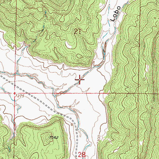 Topographic Map of Cebolla Wilderness, NM