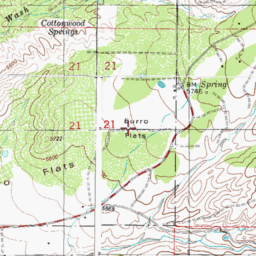 Topographic Map of Burro Flats, NM