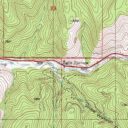 Topographic Map of Twin Springs, NM