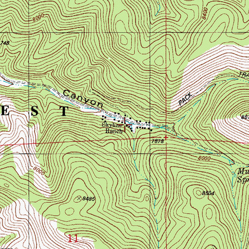 Topographic Map of Skyline Ranch, NM