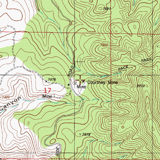 Topographic Map of Courtney Mine, NM