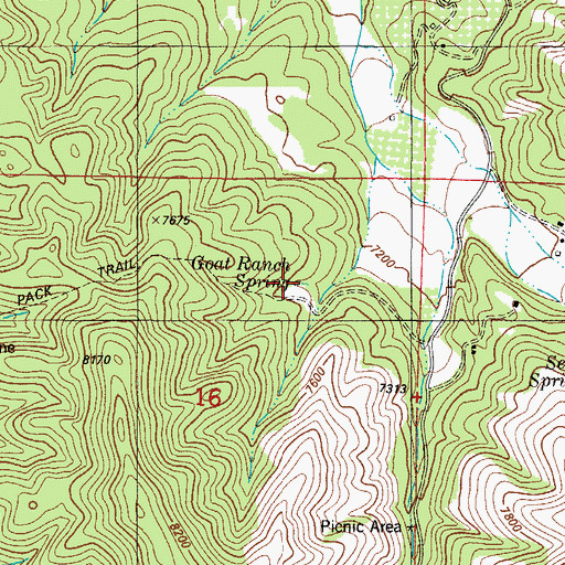 Topographic Map of Goat Ranch Spring, NM