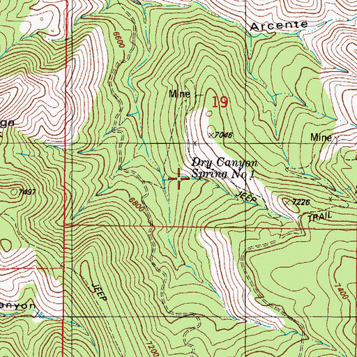 Topographic Map of Dry Canyon Spring, NM