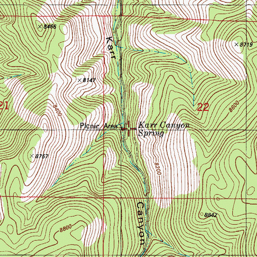 Topographic Map of Karr Canyon Spring, NM