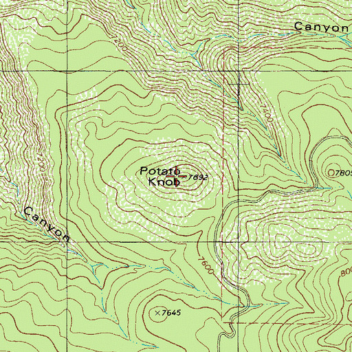 Topographic Map of Potato Knob, NM