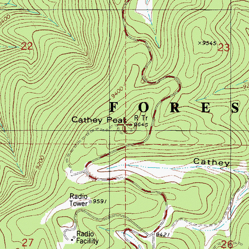 Topographic Map of Cathey Peak, NM