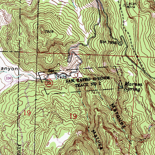 Topographic Map of San Mateo Springs Tract Number Two, NM