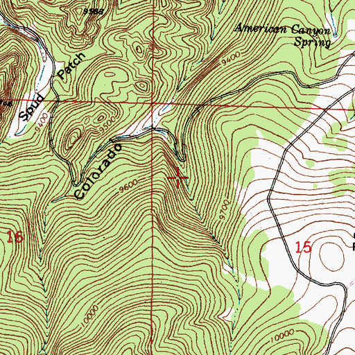 Topographic Map of Colorado Spring, NM