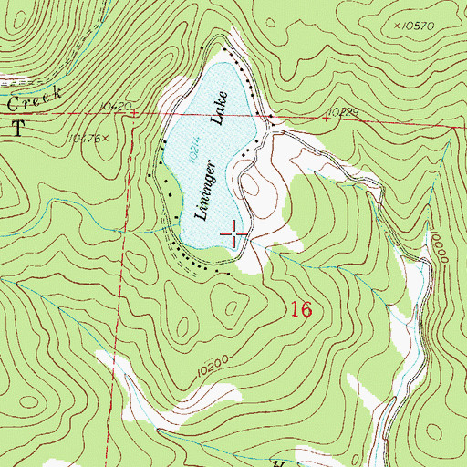 Topographic Map of Lininger Lake Dam, CO
