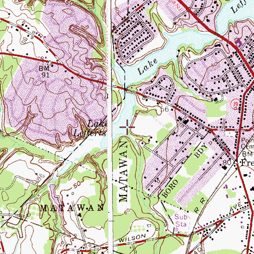 Topographic Map of Birch Swamp Brook, NJ