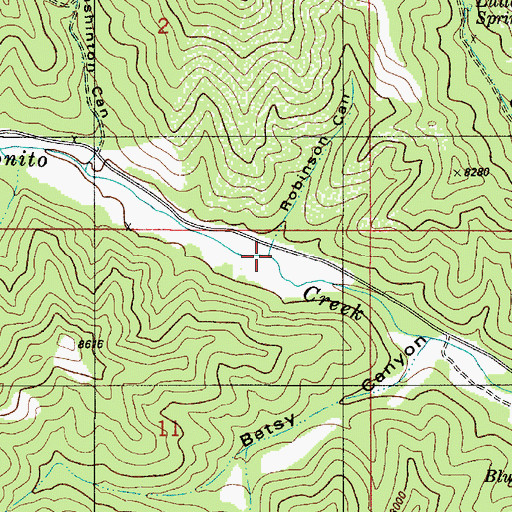 Topographic Map of Robinson Canyon, NM