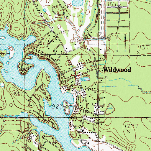 Topographic Map of Wildwood, TX