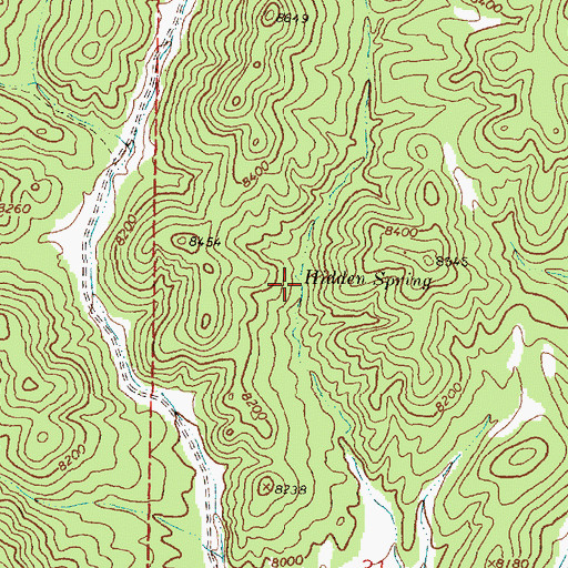 Topographic Map of Hidden Spring, NM