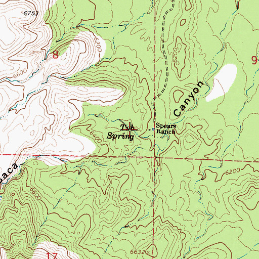 Topographic Map of Baca Spring, NM