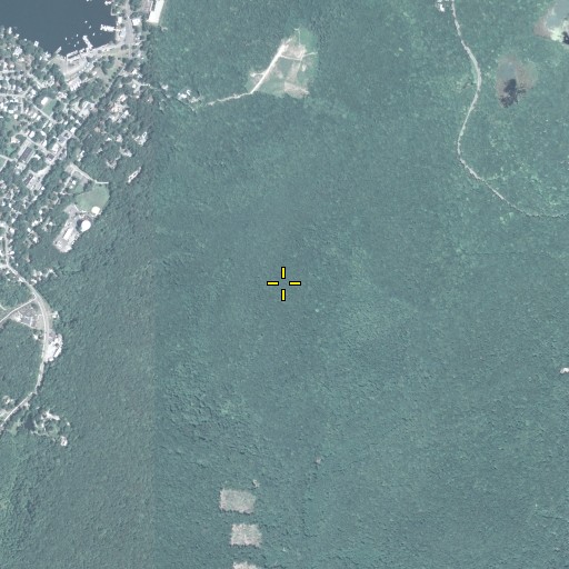 Aerial/Satellite Image of Mount Arlington, NJ