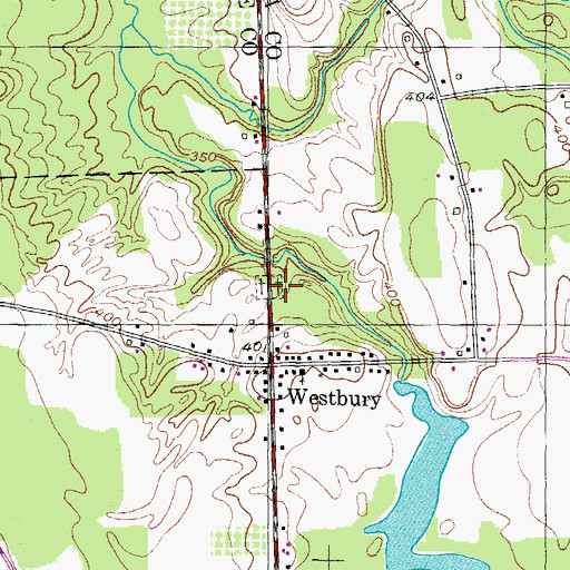 Topographic Map of Old Westbury Cemetery, NY