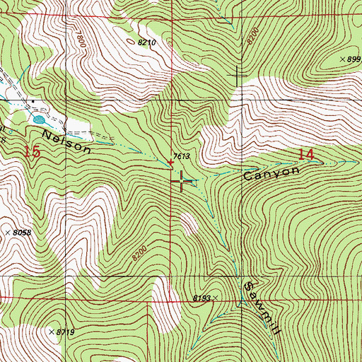Topographic Map of Sawmill Canyon, NM