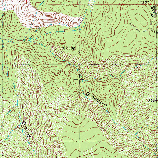 Topographic Map of Gordon Canyon, NM