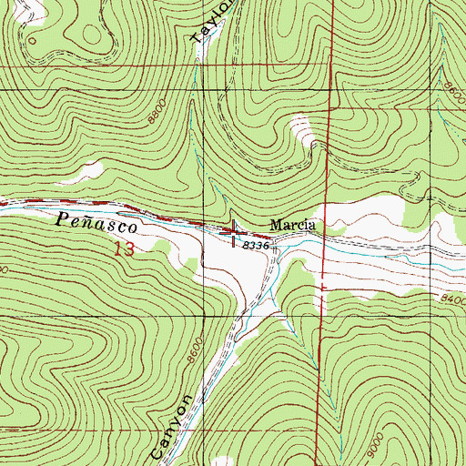 Topographic Map of Taylor Canyon, NM