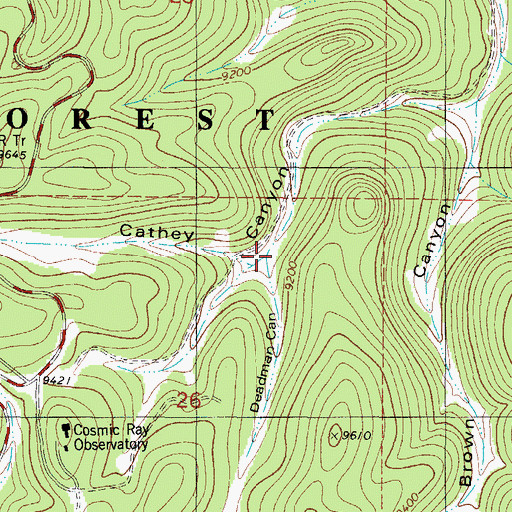 Topographic Map of Deadman Canyon, NM