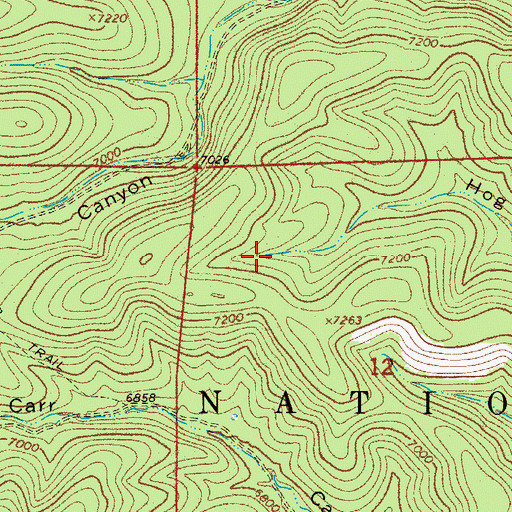 Topographic Map of Hog Canyon, NM