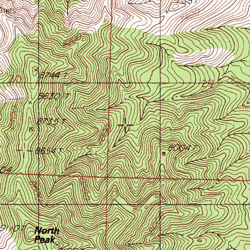 Topographic Map of Hell Canyon Spring, NM