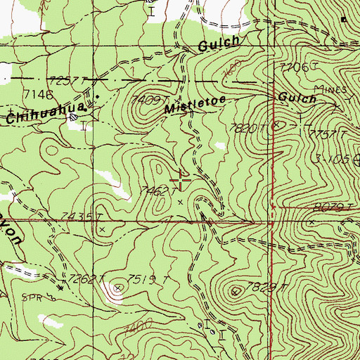 Topographic Map of Pony Spring, NM