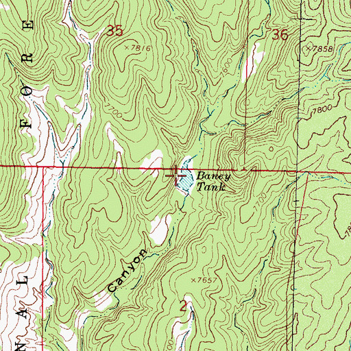 Topographic Map of Baney Tank, NM