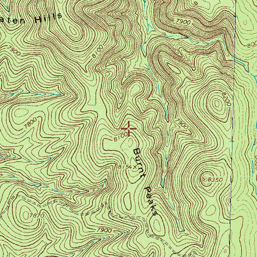 Topographic Map of Burnt Peaks, NM