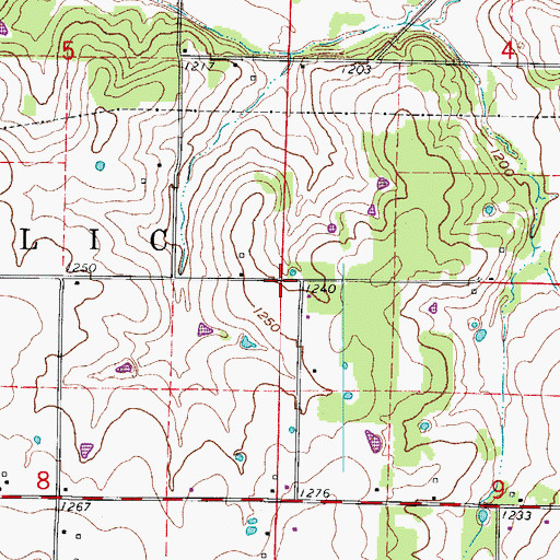 Topographic Map of Township of Republic North, MO