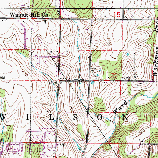 Topographic Map of Township of Wilson CW, MO