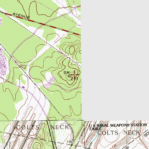 Topographic Map of Lippincort Hill, NJ