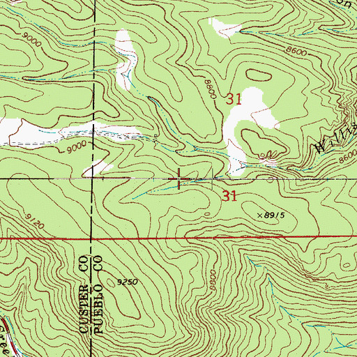 Topographic Map of Saint Charles Dam, CO