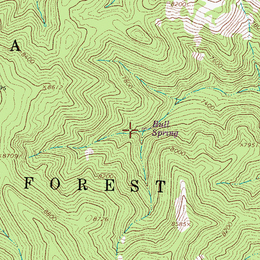 Topographic Map of Bull Springs, NM