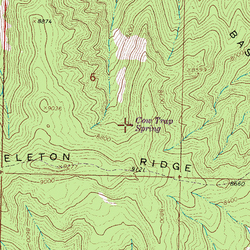 Topographic Map of Cow Trap Spring, NM