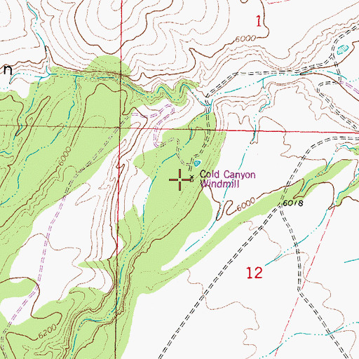 Topographic Map of Cold Canyon Windmill, NM