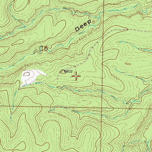 Topographic Map of Panther Flats, NM