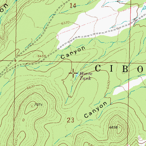 Topographic Map of Horse Tank, NM