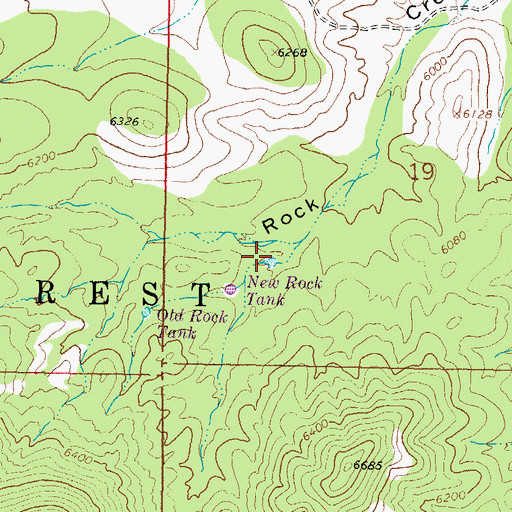 Topographic Map of New Rock Tank, NM