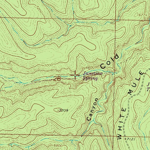 Topographic Map of Junction Spring, NM