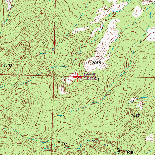 Topographic Map of Long Spring, NM