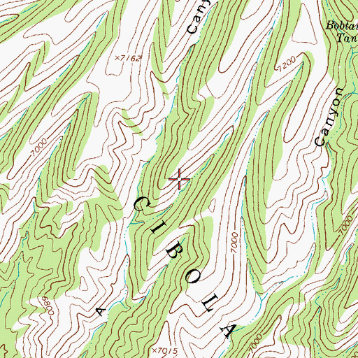 Topographic Map of Bar A Tank, NM
