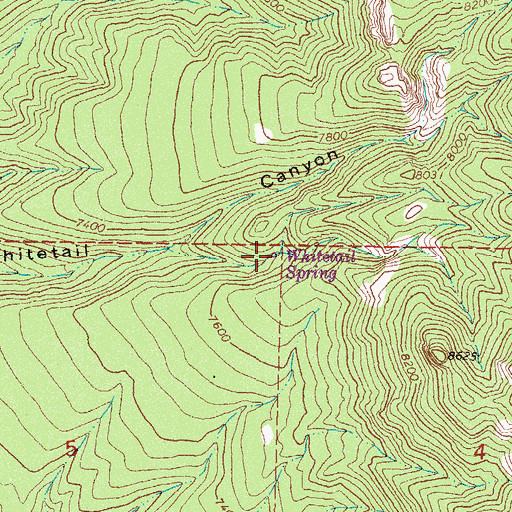 Topographic Map of Whitetail Spring, NM