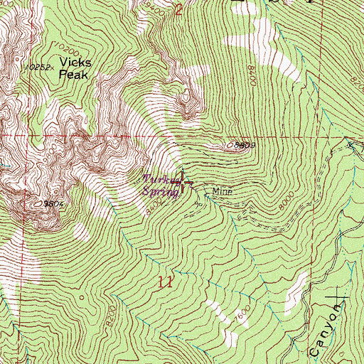 Topographic Map of Turkey Spring, NM