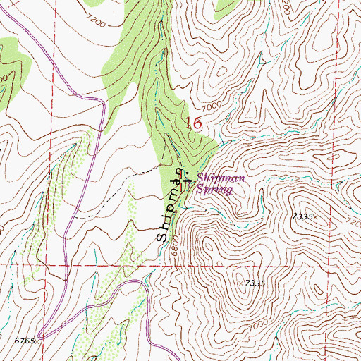 Topographic Map of Shipman Spring, NM