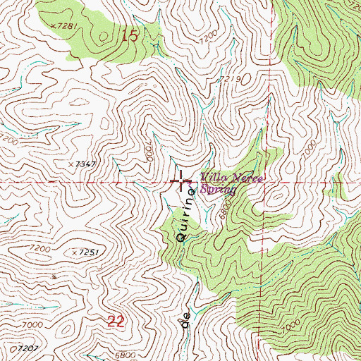 Topographic Map of Villa Nerce Spring, NM