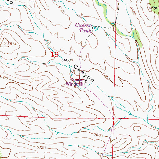 Topographic Map of Cuervo Windmill, NM