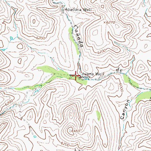 Topographic Map of Juana Well, NM