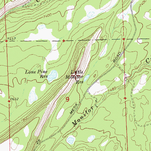 Topographic Map of Little Monitor Number 1 Dam, CO
